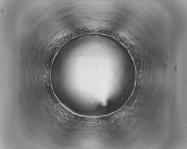 X0000086950917200704231422