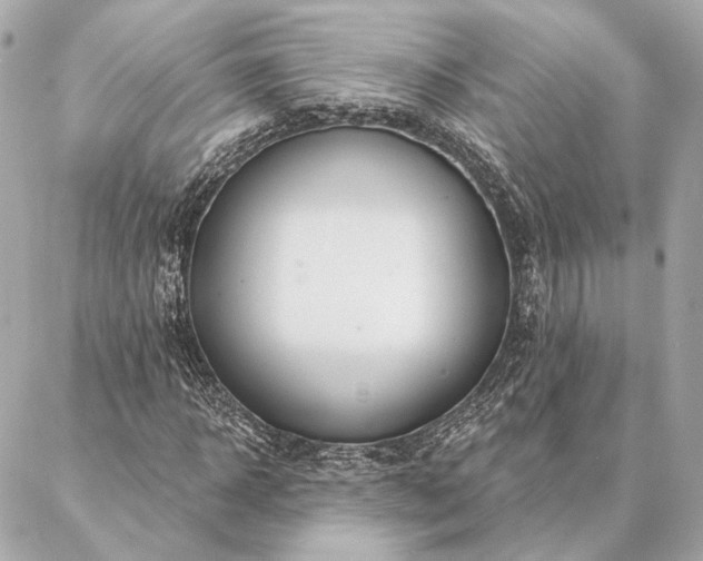 X0000086950918200704231422