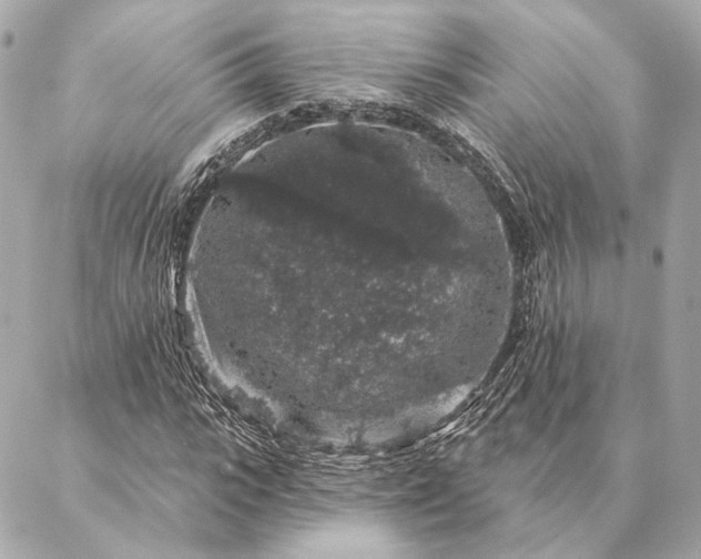 X0000086950919200704231422