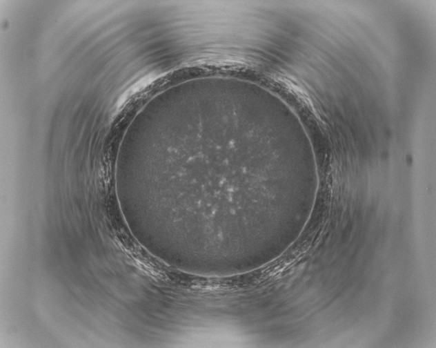 X0000086950920200704231422