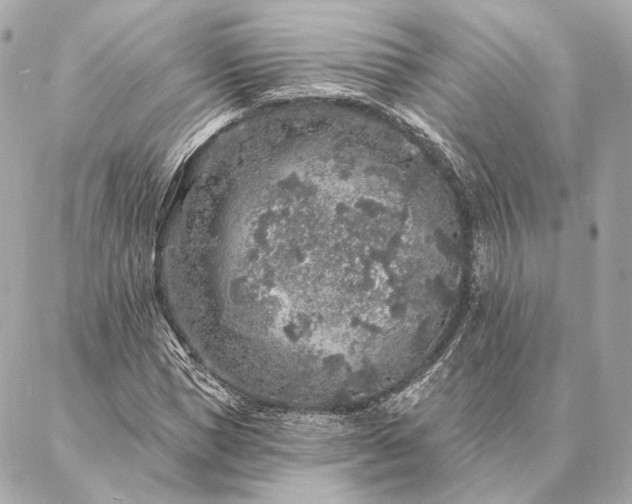 X0000086950921200704231422