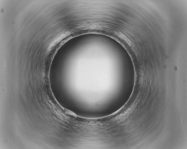 X0000086950922200704231422