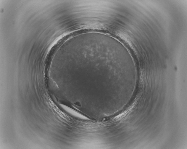 X0000086950923200704231422