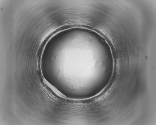 X0000086950925200704231422