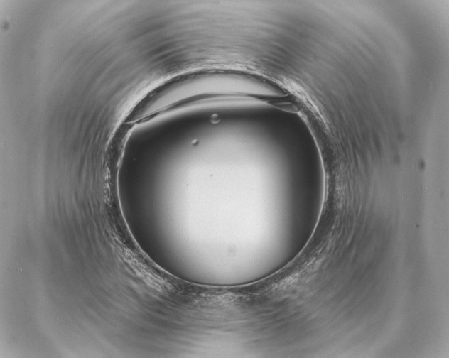 X0000086950926200704231422