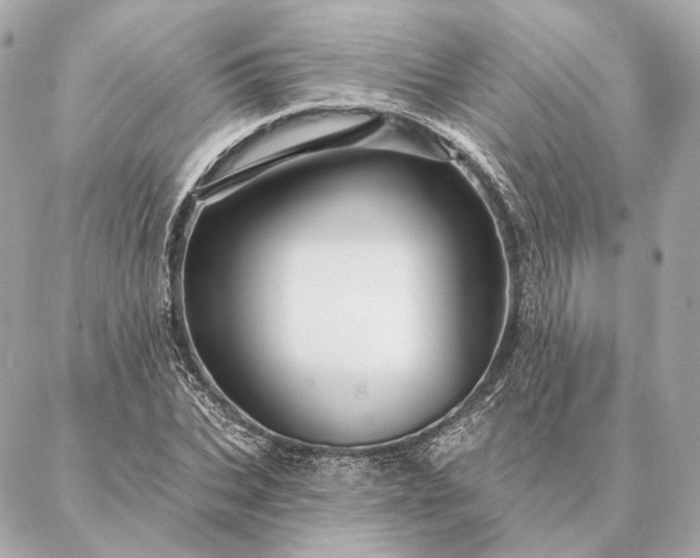 X0000086950927200704231422