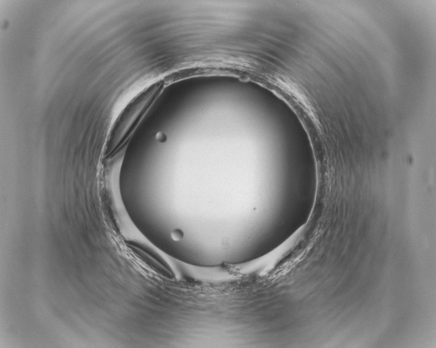 X0000086950928200704231422