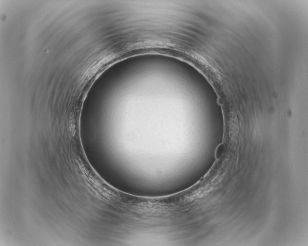 X0000086950929200704231422