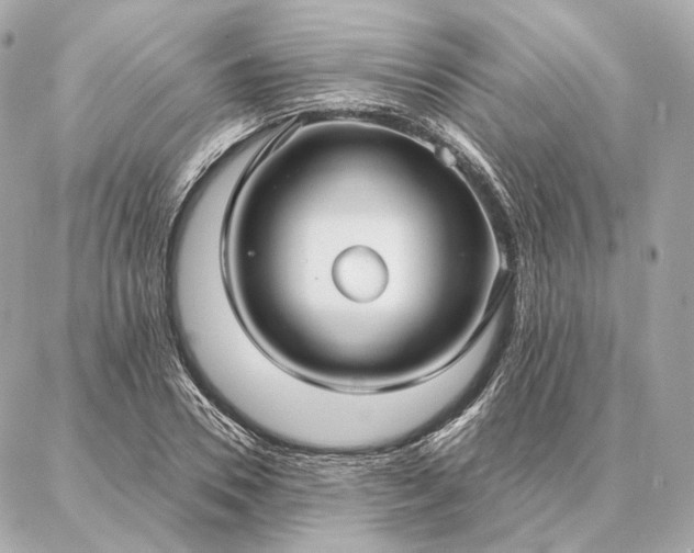 X0000086950930200704231422