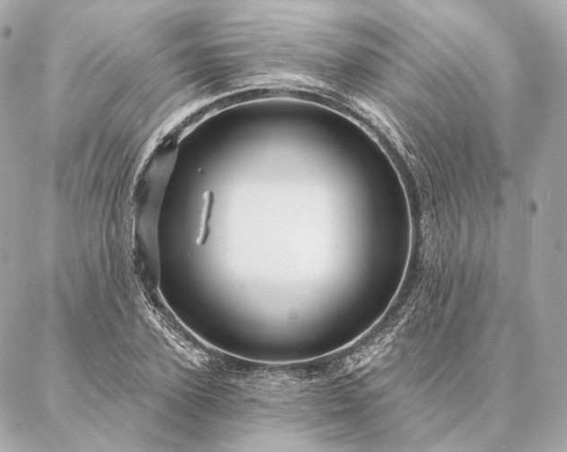 X0000086950931200704231422