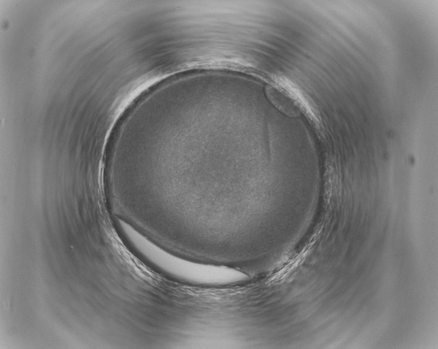 X0000086950932200704231422