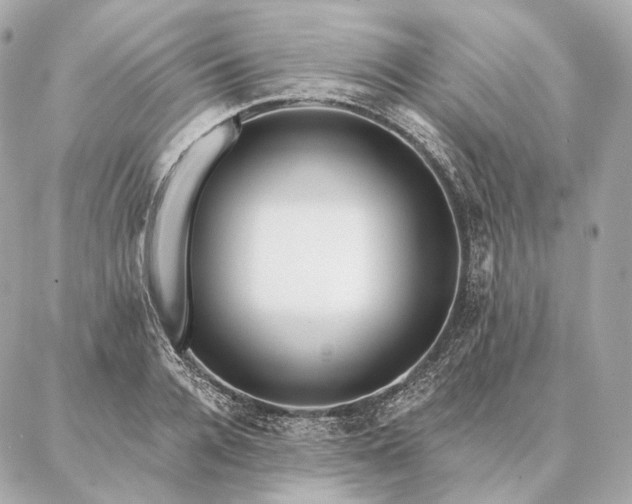 X0000086950936200704231422