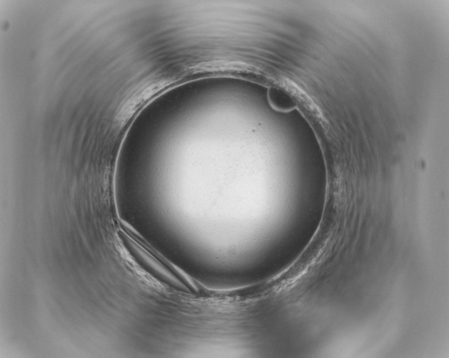 X0000086950937200704231422