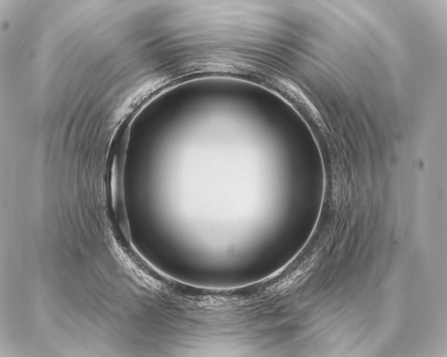 X0000086950938200704231422