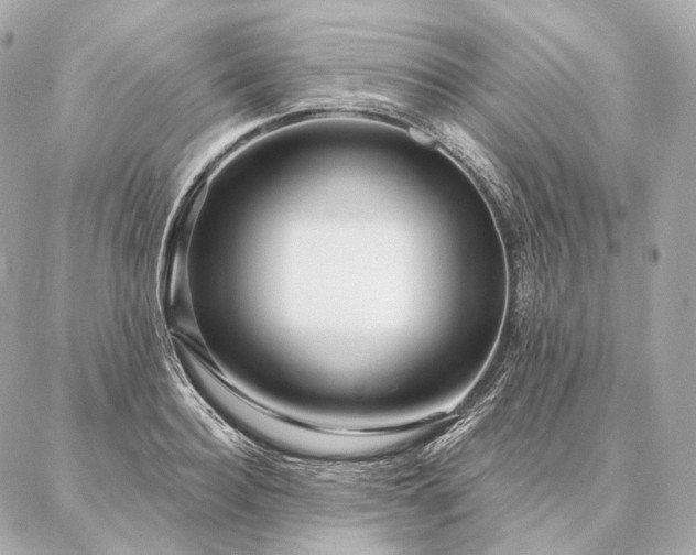 X0000086950940200704231422