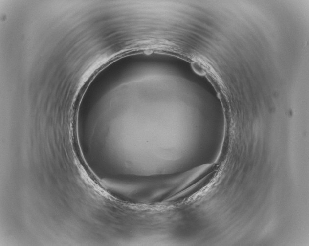 X0000086950941200704231422