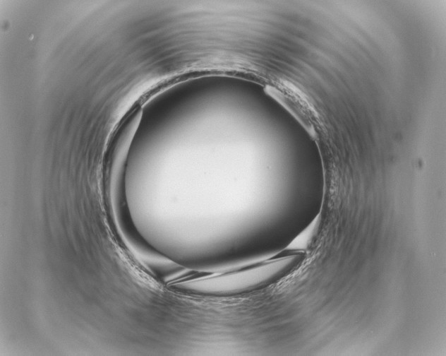 X0000086950942200704231422