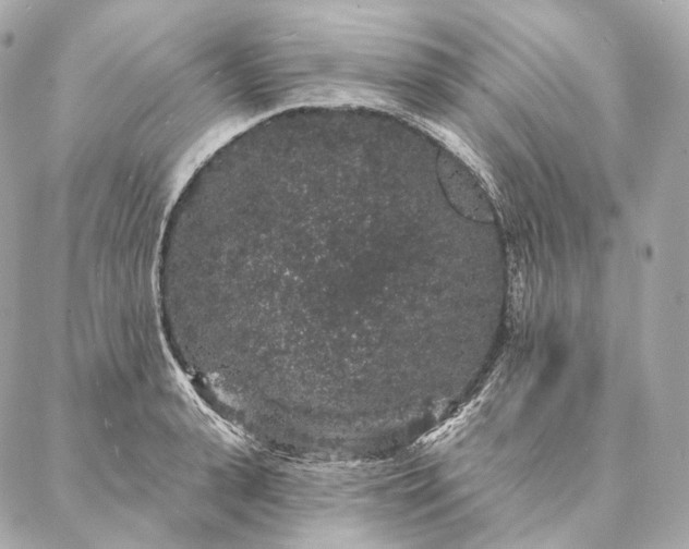 X0000086950943200704231422