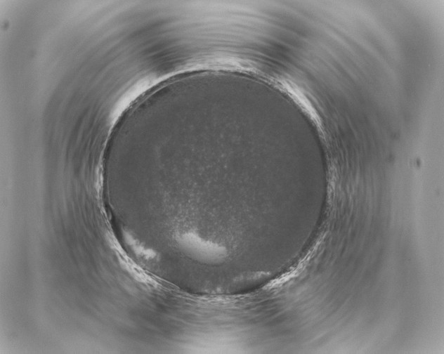 X0000086950944200704231422