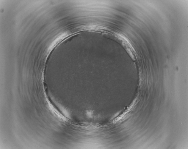 X0000086950946200704231422