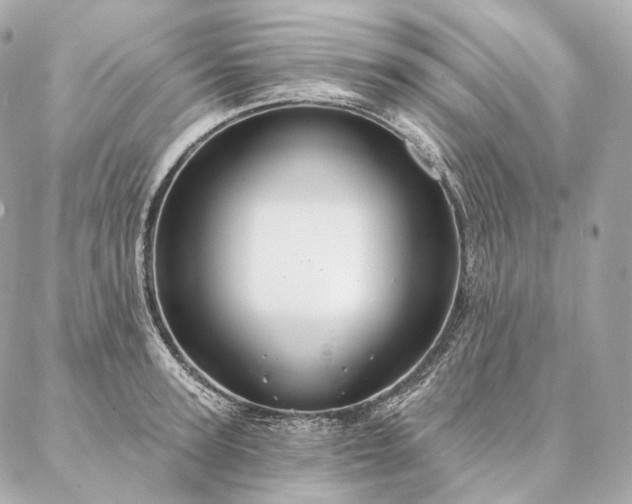 X0000086950947200704231422