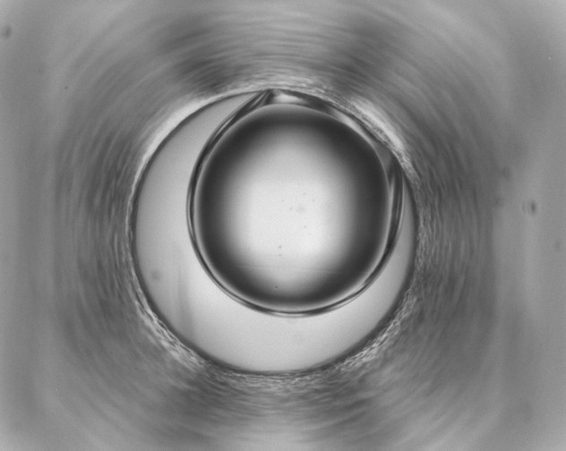 X0000086950948200704231422