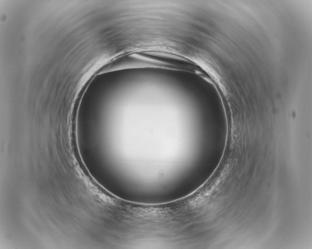 X0000086950949200704231422