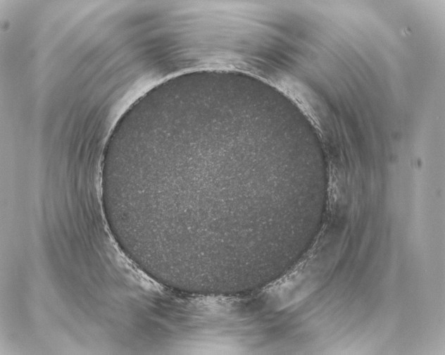 X0000086950950200704231422