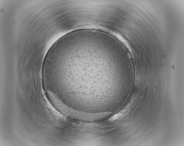 X0000086950951200704231422