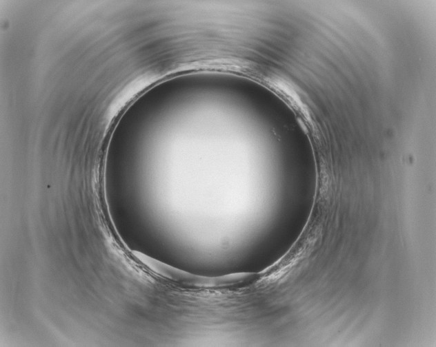 X0000086950952200704231422