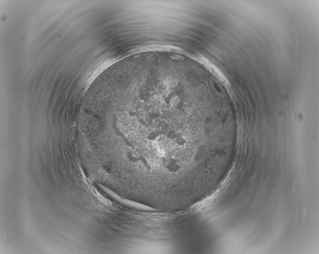 X0000086950953200704231422