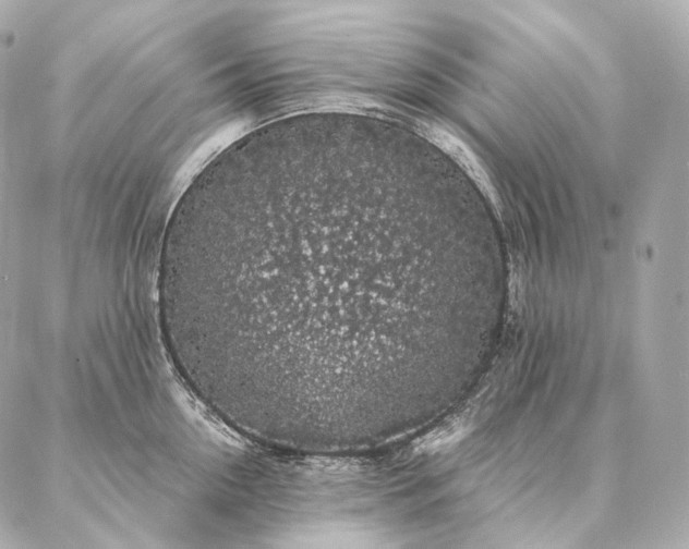 X0000086950954200704231422