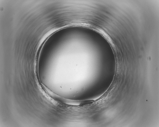 X0000086950955200704231422