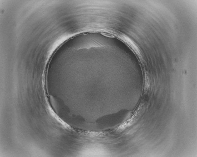 X0000086950958200704231422