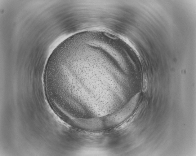 X0000086950959200704231422