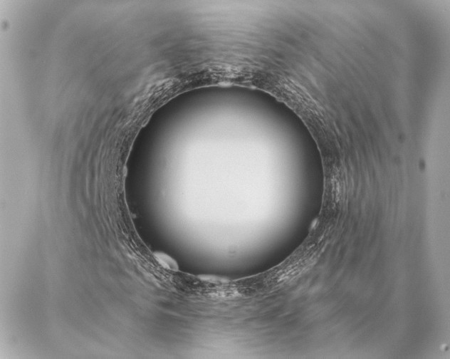 X0000086950961200704231421