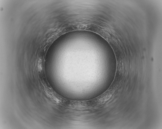 X0000086950962200704231421