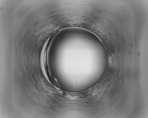 X0000086950963200704231421