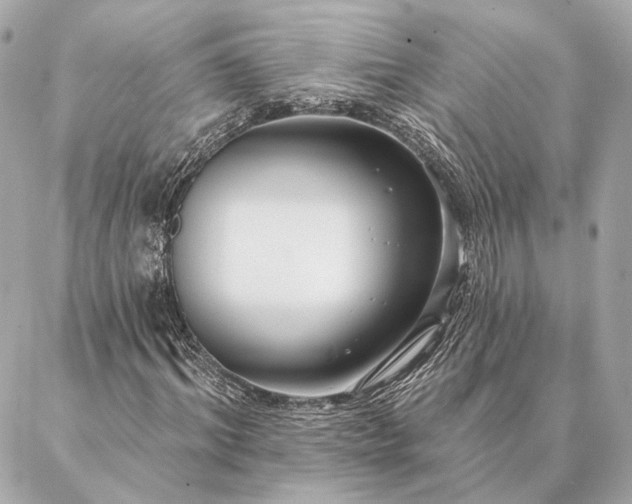 X0000086950964200704231421