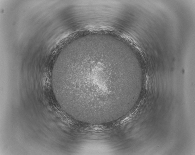 X0000086950966200704231421