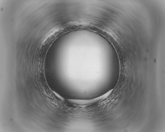 X0000086950967200704231421