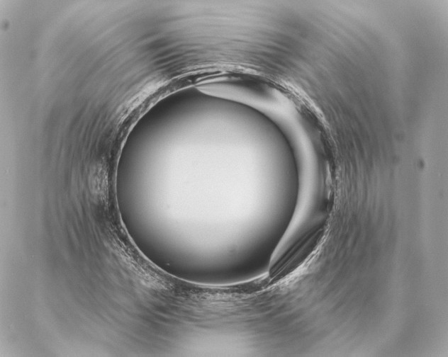 X0000086950969200704231421