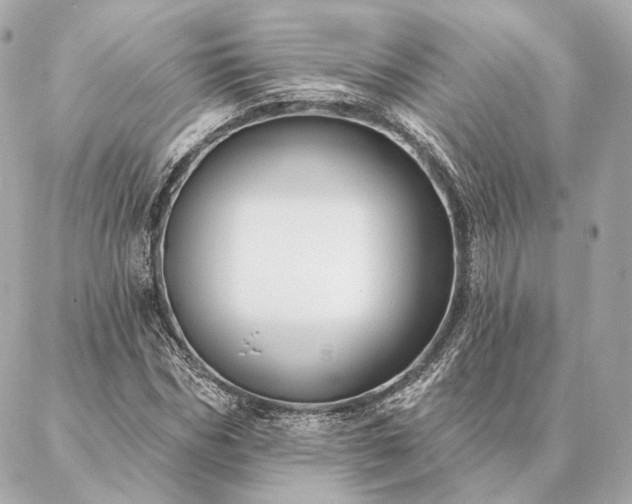 X0000086950970200704231421