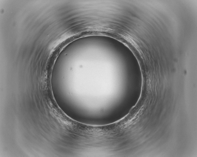 X0000086950971200704231421