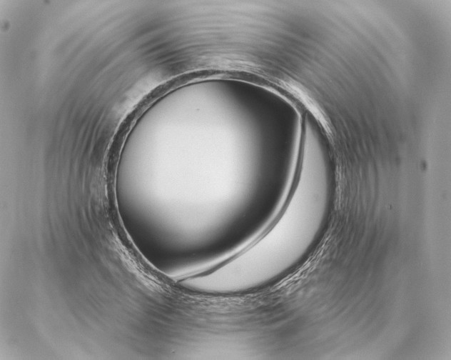 X0000086950972200704231421