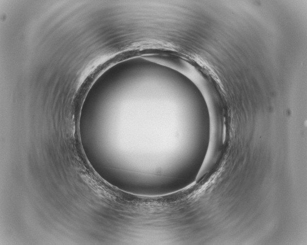 X0000086950973200704231421