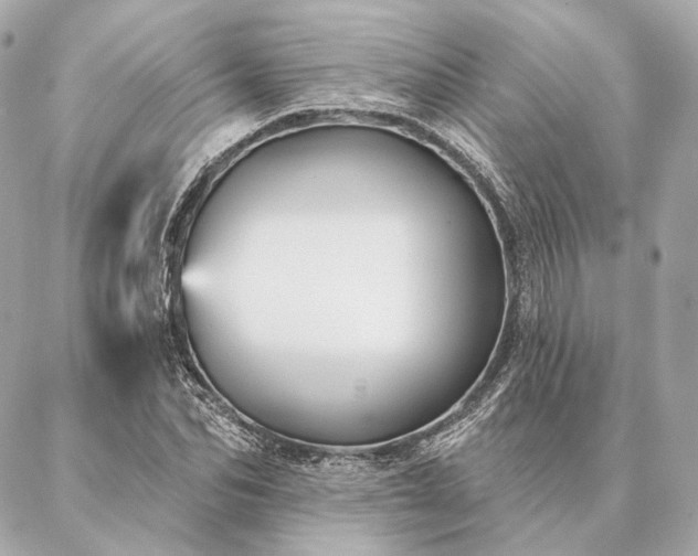 X0000086950974200704231421