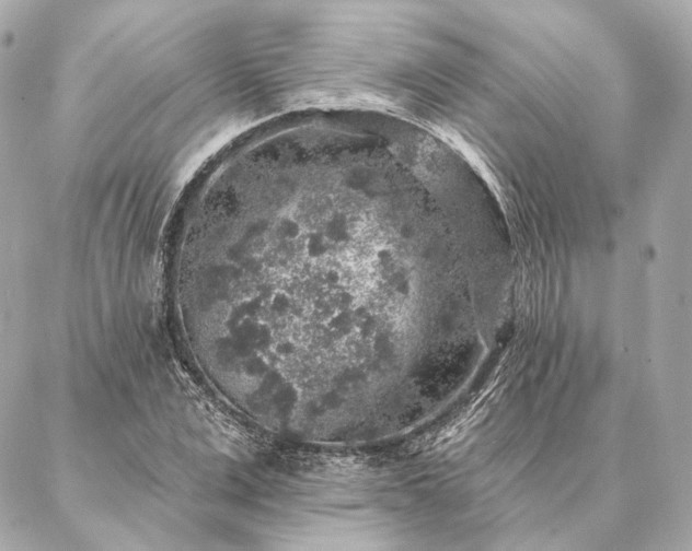 X0000086950975200704231421