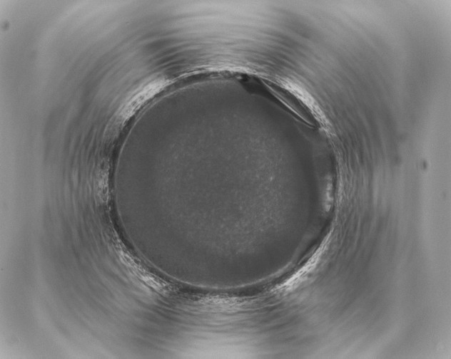 X0000086950977200704231421