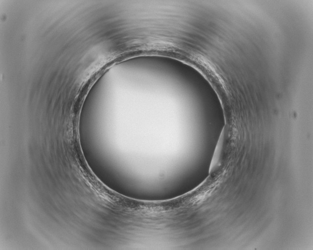 X0000086950978200704231421